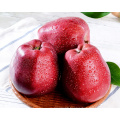 full-red skin fresh red  Huaniu Apple fruit